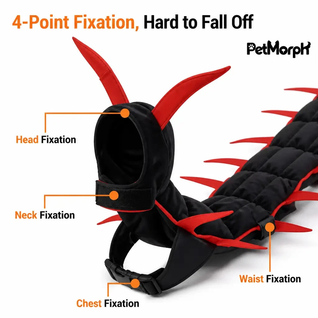 4-point fixation, hard to fall off